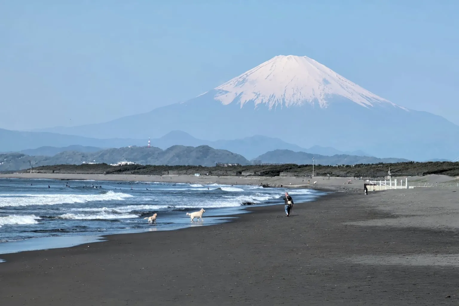 Snow-capped Mt. Fuji rising over the Shonan coastline near Tokyo, with surfers in the water and two dogs and a person walking on the dark-sand beach.